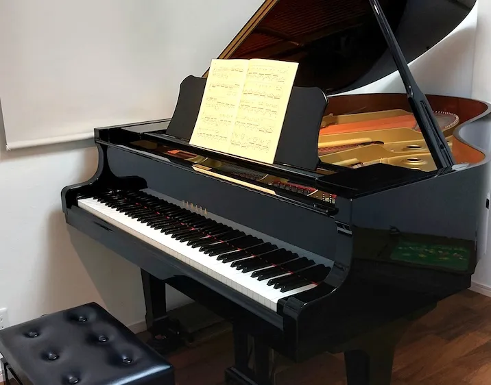 専門レッスンの様子